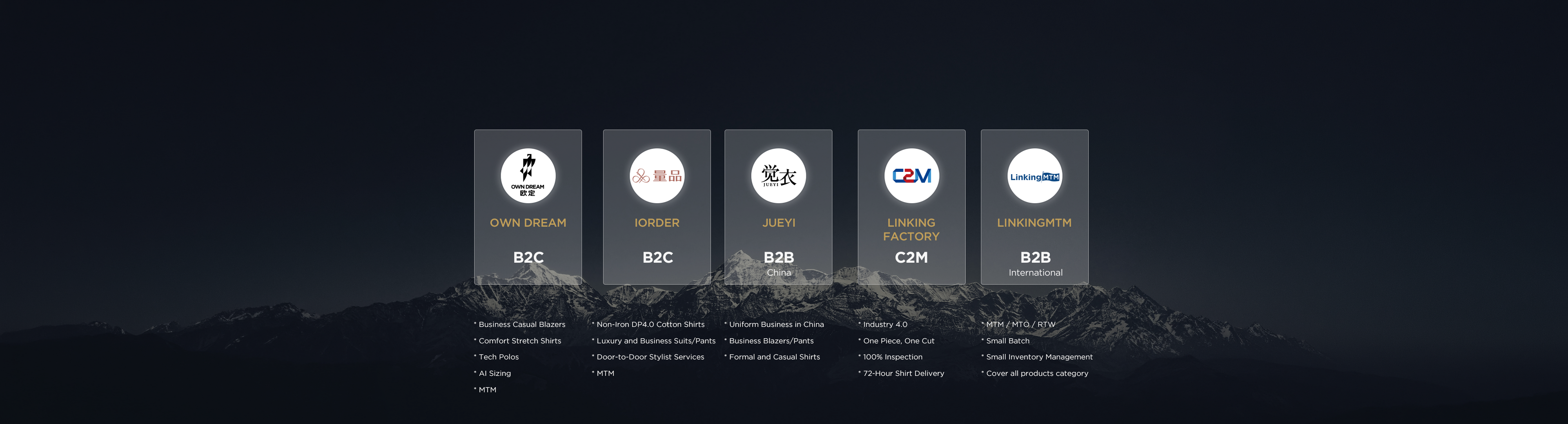 Linking Group business portfolio